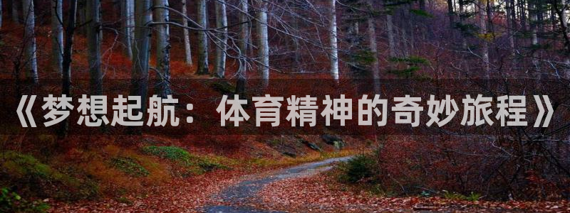 oety欧亿