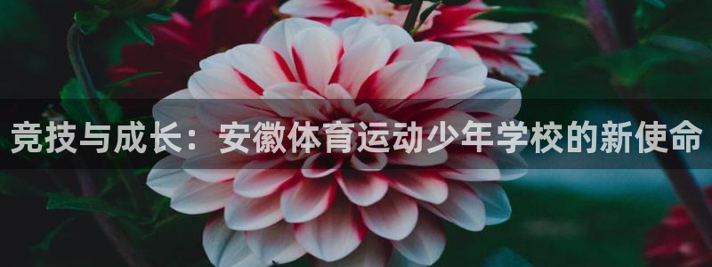 oety欧亿：竞技与成长：安徽体育运动少年学校的新使命