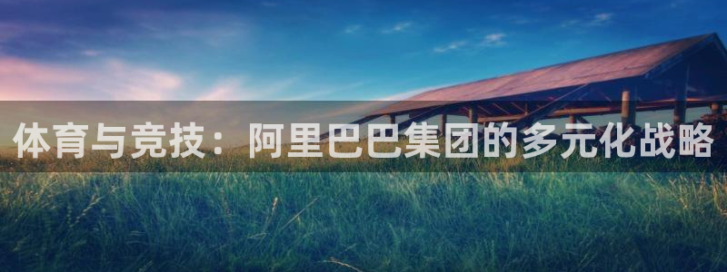 oety欧亿：体育与竞技：阿里巴巴集团的多元化战略