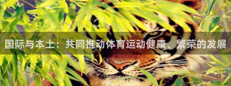 oety欧亿：国际与本土：共同推动体育运动健康、繁荣的发展