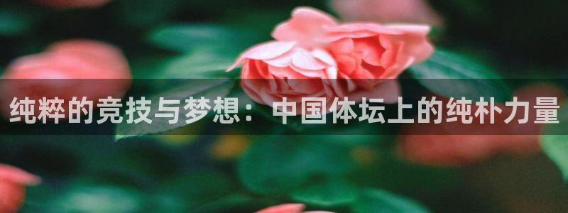 oety欧亿：纯粹的竞技与梦想：中国体坛上的纯朴力量