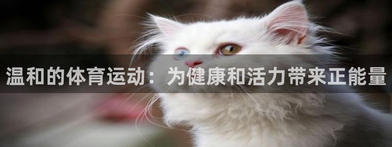 oety欧亿：温和的体育运动：为健康和活力带来正能量
