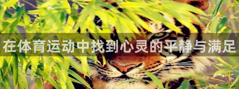 oety欧亿