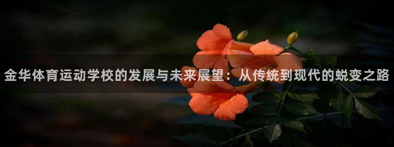 oety欧亿