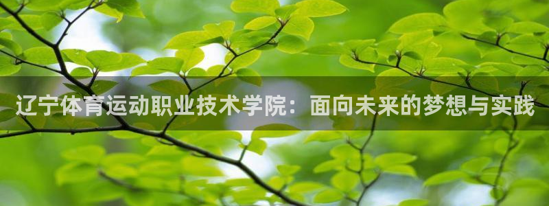 oety欧亿