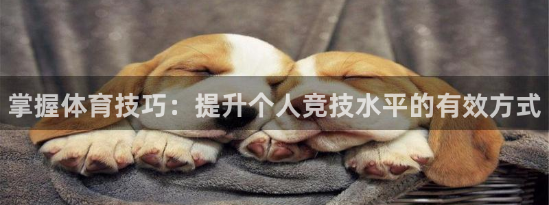 oety欧亿