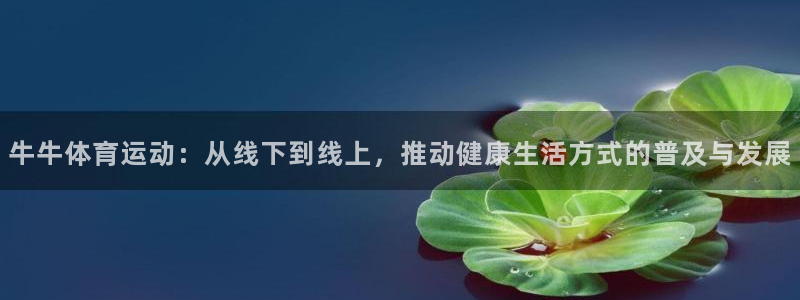 oety欧亿